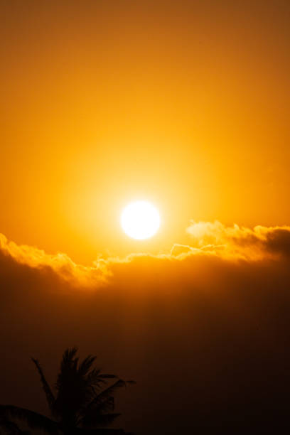 Golden Sunset in the Sky with clouds below