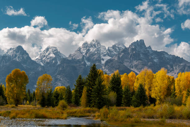 Experience the breathtaking beauty of the Teton Range as it stands tall, adorned with a pristine snow cap against the vibrant tapestry of fall colors. This stunning photograph captures the serene majesty of nature’s transition from the warm hues of autumn to the crisp chill of winter. Perfect for editorial use, travel brochures, or as a captivating background, this image invites viewers to immerse themselves in the tranquil harmony of the Tetons’ seasonal transformation