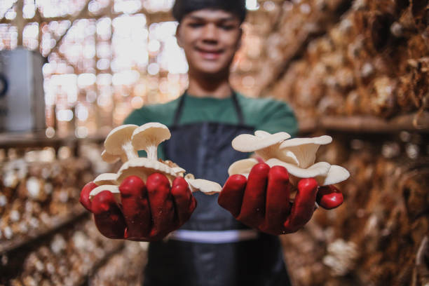 Agriculture Small Business