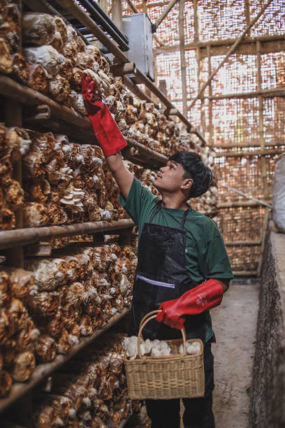 istock Agriculture Small Business 2158919934
