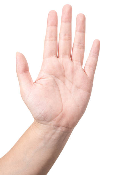 istock Male hand show finger number five isolated on white background. 2158922157