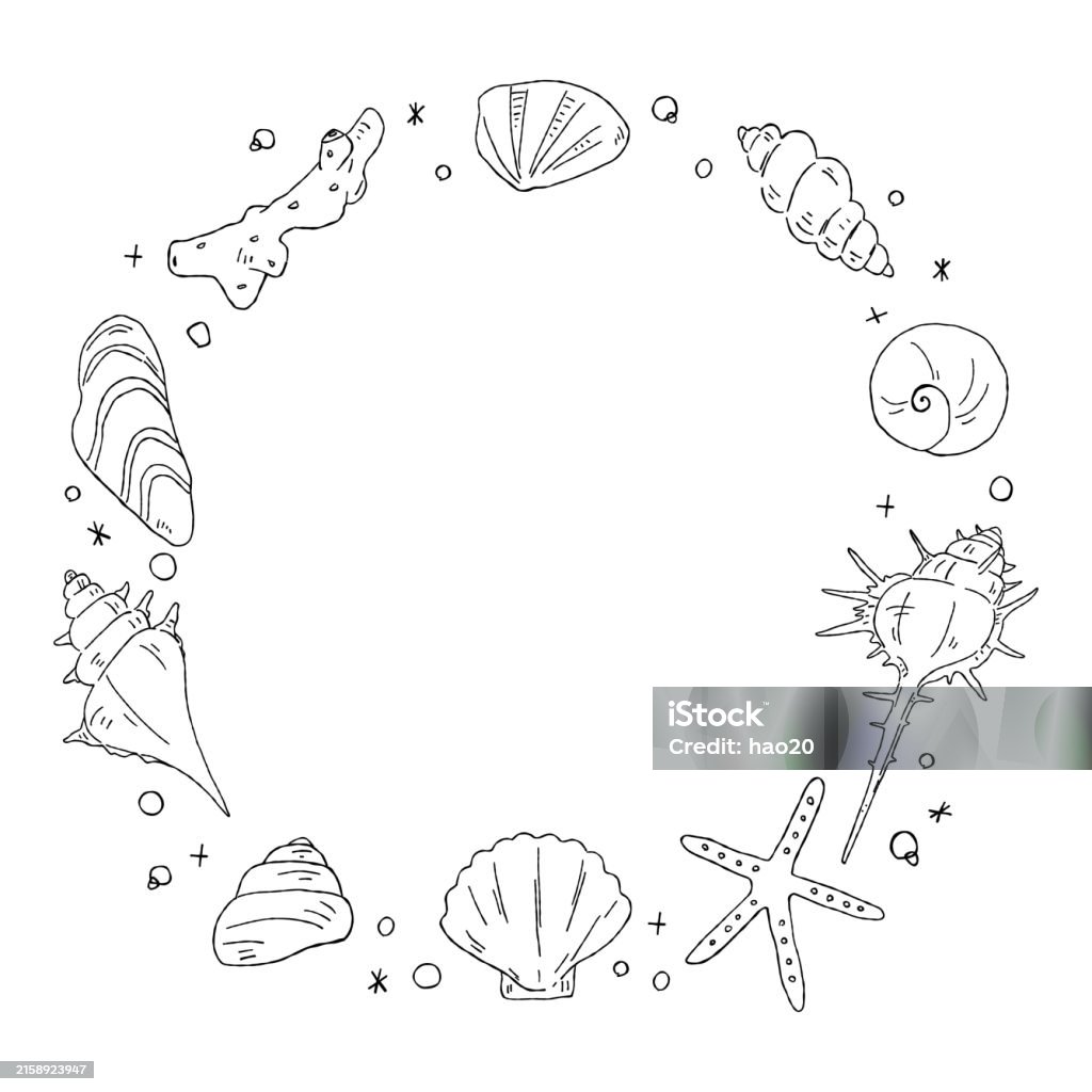 Shell Frame Drawing Hand Drawn Shell Circular Frame Line Drawing Frame Stock Illustration ...
