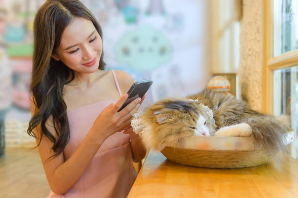 istock cat with woman 2158926650