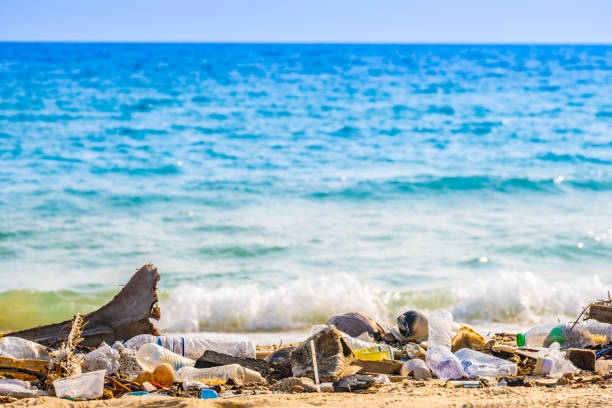 istock trash, plastic cups and plastic bags at the beach. environmental problem concept and healing the world 2158930458