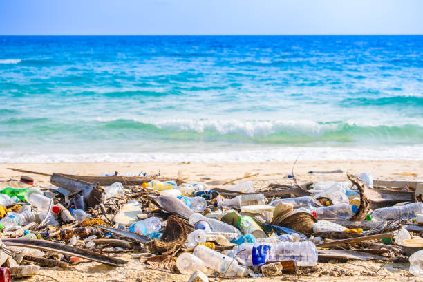 istock trash, plastic cups and plastic bags at the beach. environmental problem concept and healing the world 2158930484