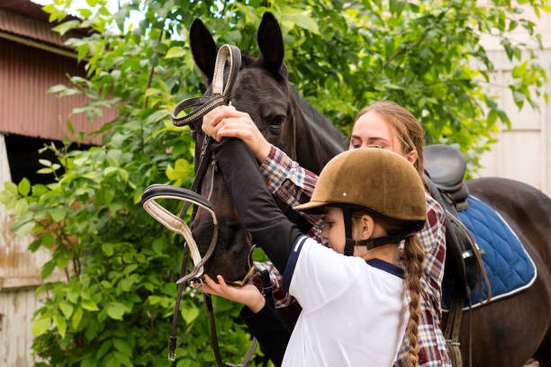 istock Hands adjusting a bridle on a horse. 2158933537