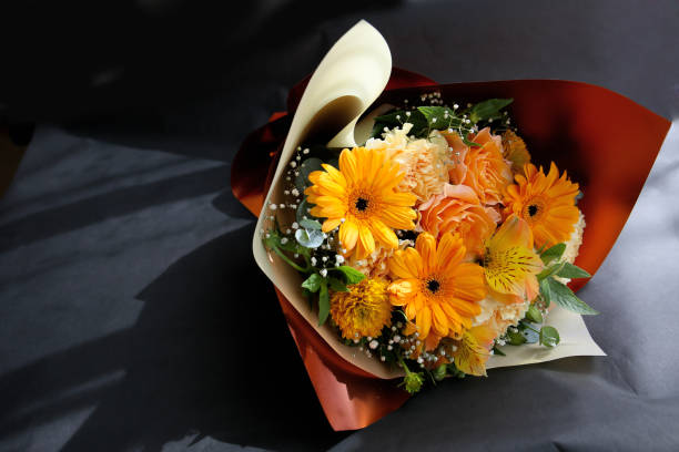 istock orange color flowers on a grey, floral  background 2158935511