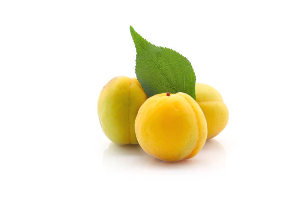 yellow Japanese plum fruits isolated on a white background