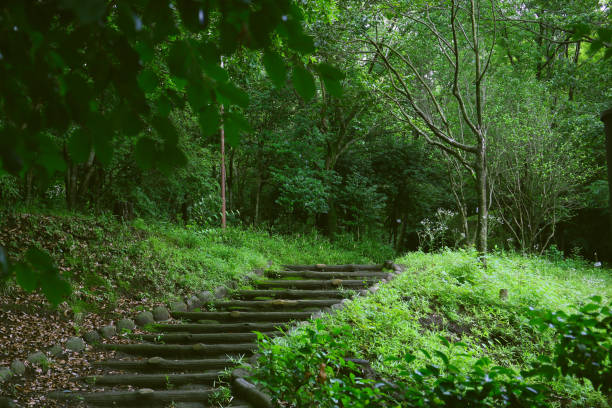 fancy stairs in a park in a rainy day, background plate