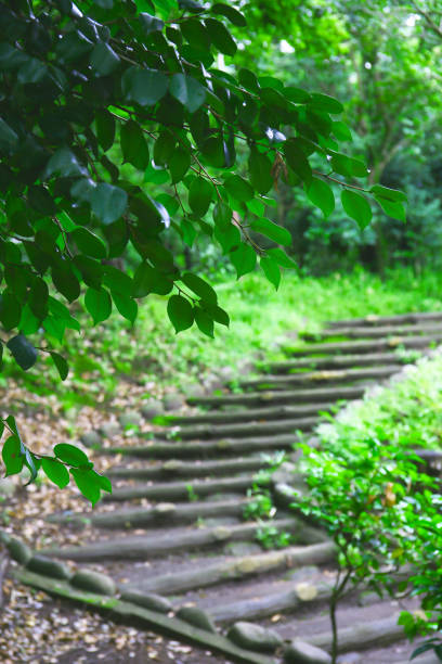 fancy stairs in a park in a rainy day, background plate