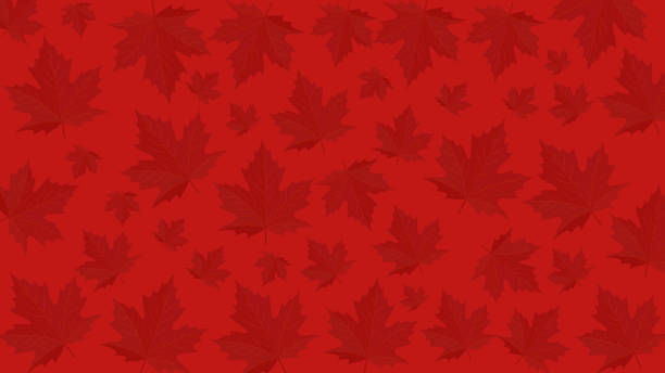 art, background, canada day, christmas, decoration, design, floral, flower, gold, holiday, illustration, leaf, leaves, maple, nature, ornament, paper, pattern, red, seamless, snow, snowflake, star, stars, texture, vector, vintage, wallpaper, winter, xmas