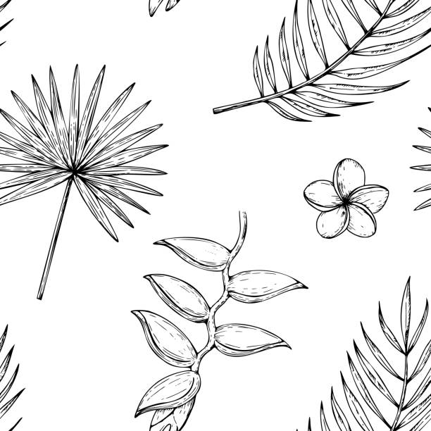 Tropical vector seamless pattern with palm leaves, heliconia, Bird of Paradise or Strelitzia reginae flowers illustrations on isolated background. Beautiful botanical hand painted exotic element. For designers, spa decoration, postcards, wedding Tropical vector seamless pattern with palm leaves, heliconia, Bird of Paradise or Strelitzia reginae flowers illustrations on isolated background. Beautiful botanical hand painted exotic element. For designers, spa decoration, postcards, wedding. drawing of the hawaii islands stock illustrations
