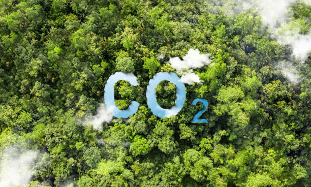 istock Reduce carbon dioxide emissions to limit climate change and global warming. Co 2 text in a bubble with low CO 2 forest molecule. 2158940500