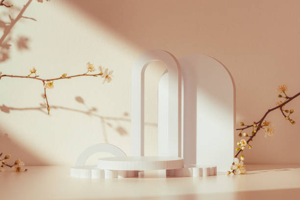 istock Blooming spring branches with flowers and its shadow on beige background 2158942552