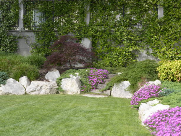 istock domestic garden 2158943851