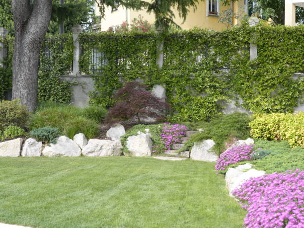 istock domestic garden 2158943915