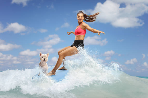 istock Female surfer with a dog on a board 2158945632