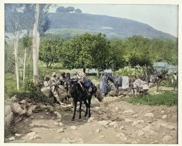 Victorian Holy Land tourist caravan at Dothan, Mule train, 1890s, 19th Century, Vintage photograph
