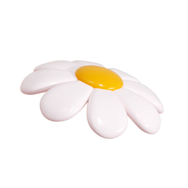 istock Daisy plastic flower cartoon icon 3d render illustration. 2158947555