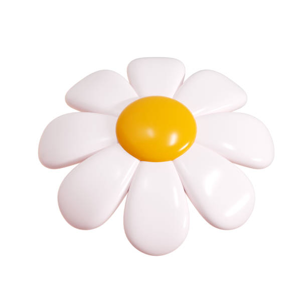 istock Daisy plastic flower cartoon icon 3d render illustration. 2158947567