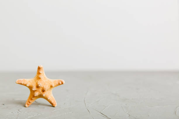istock Summer time concept with sea shells or starfish on a table background with copy space for text 2158948360