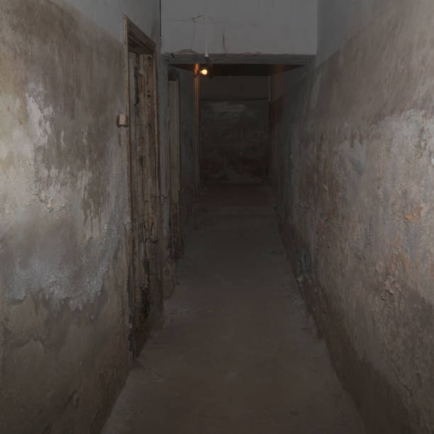 istock An old abandoned dungeon or basement in ruins 2158948519