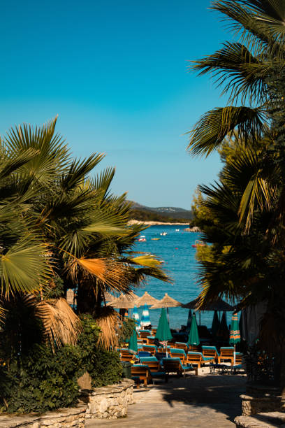 Scenic beach among green trees against blue sea.