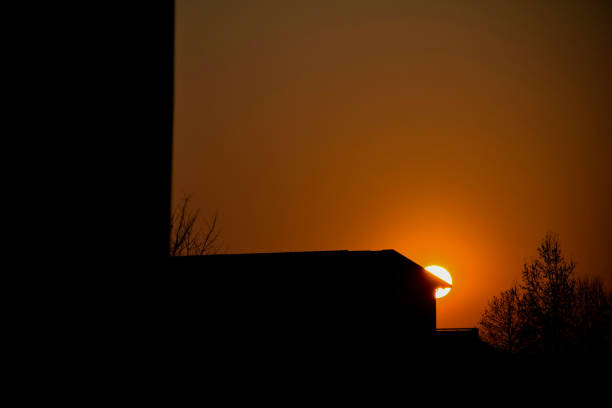 silhouette of a house and a tree in the sunset. High-quality photo