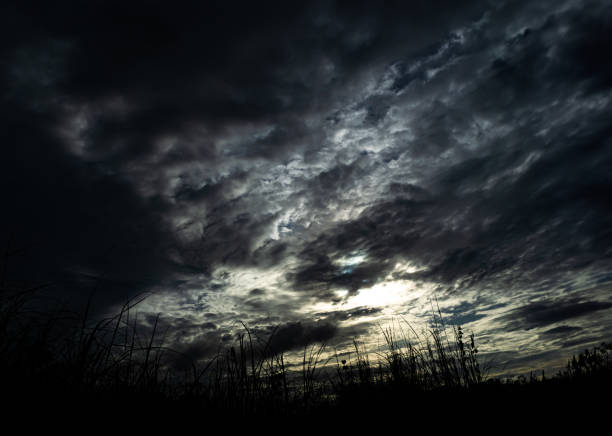Cloud Storm Sky Dark Rain Lightning Thunder Stoumy Typhoon Nature Light Scene Rainy Atmosphere Damage Effect Carbon dioxide Dust Air pollution 2.5 Pm, Texture Nature Windstorm Weather Skyscapte.