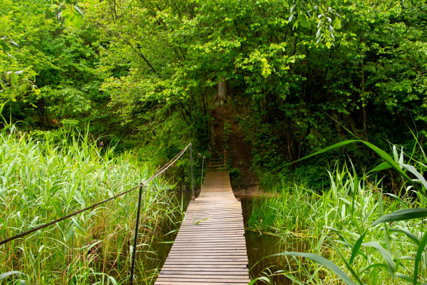 A wooden bridge over the river.