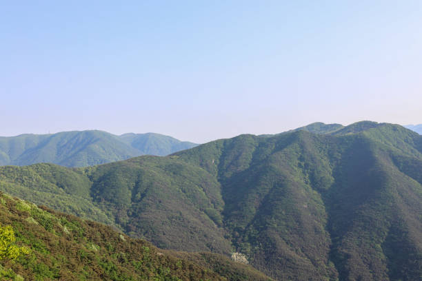 View of Daegu from Apsan mountain, South Korea.