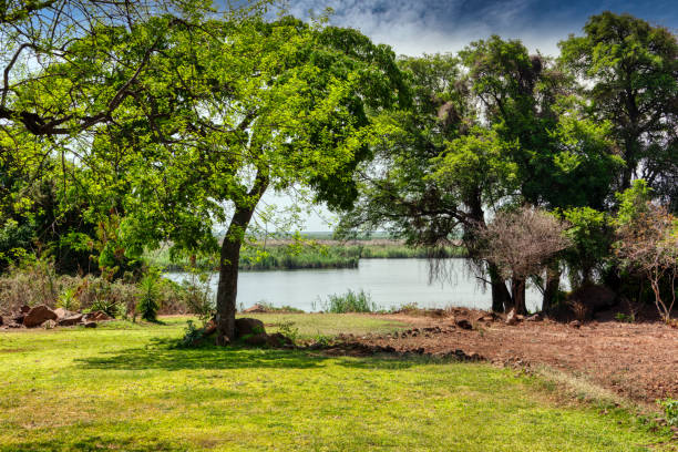 River flowing slowly next to a vibrant green riverbank on a sunny day