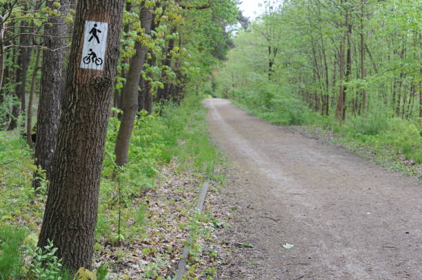istock A dirt road through the green forest in spring 2158958857