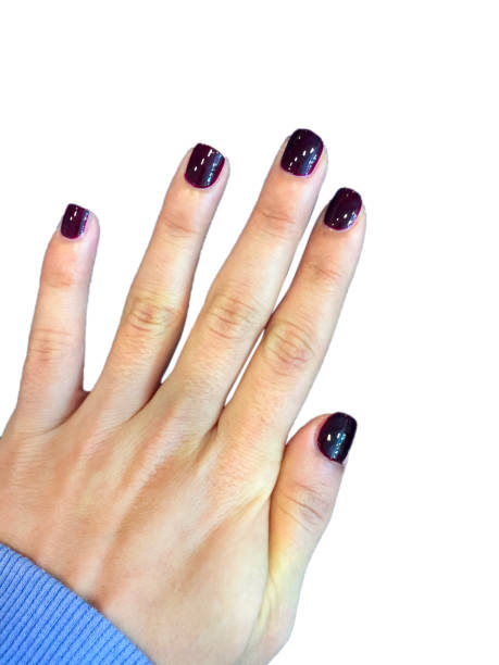 Hand with burgundy nail polish on a white background