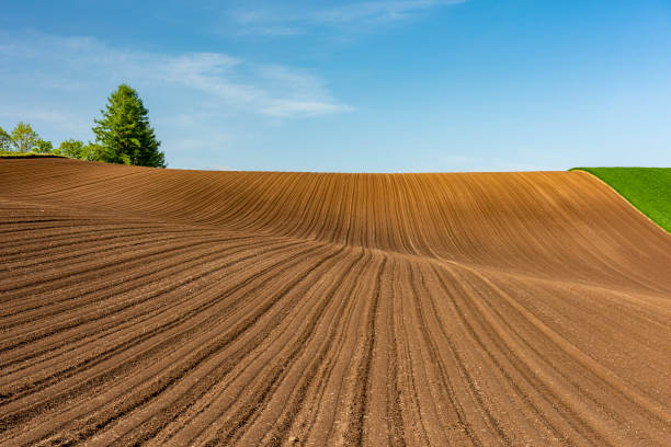 istock Cultivated land with large ridges 2158959798