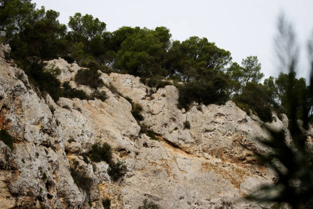 typical canyon gorge rock cliff face with green trees in Menorca
