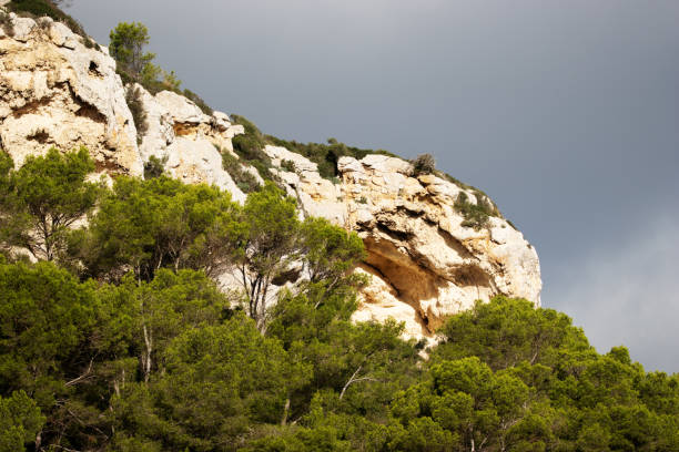 typical canyon gorge rock cliff face with green trees in Menorca