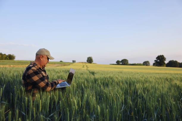 istock Farmer working with laptop on wheat field. 2158961630