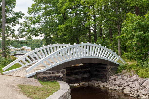 istock wooden bridge across the river 2158961834