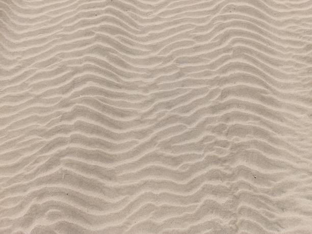 istock Pattern formed on the sand by the desert wind on scorching summer days 2158963737