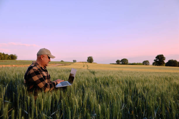 istock Farmer working with laptop on wheat field. 2158963739