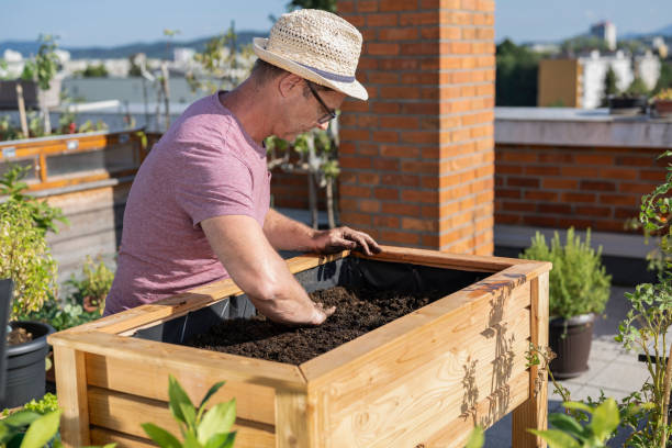 istock Man Planting Vegetables In His Raised Beds On Rooftop 2158965065