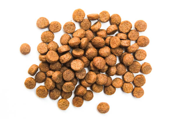 istock cat food isolated on white background 2158966342