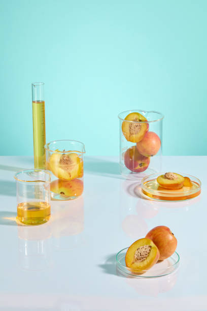 istock Peach science experiment photograph over blue texture from high angle shot. Vacant space in the center of white countertop, decorated with glass lab utensils around, empty space for product displaying 2158969378