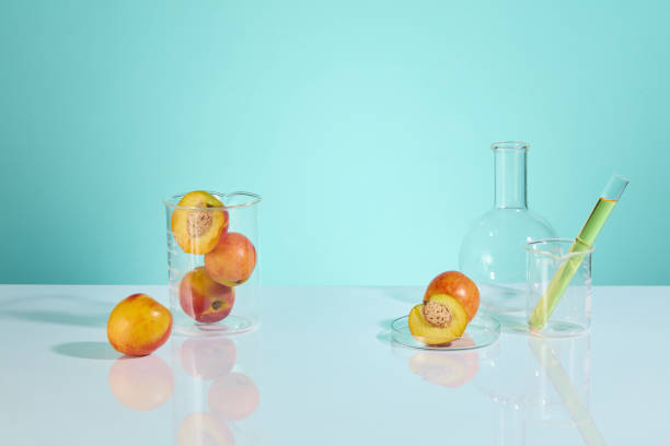 Fresh peach ingredient contained in beaker and petri dish, which placed on the white table top, beside it is boiling flask and test tube. Copy space for adding text, front angle
