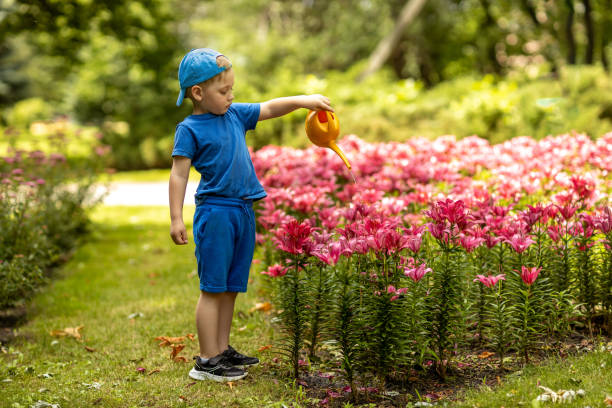 A little boy is watering flowers in the garden with a watering can.
