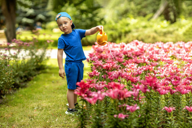 A little boy is watering flowers in the garden with a watering can.