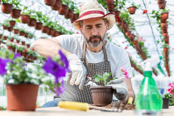 istock Greenhouse Gardener 2158974308