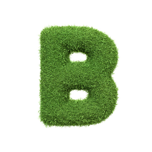 istock Capital letter B shaped from lush green grass, isolated on a white background 2158975577