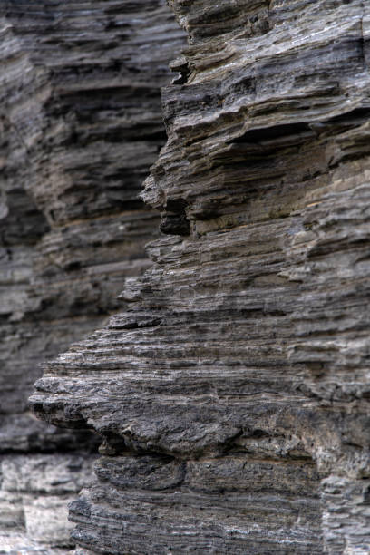 istock surface of the seaside cliff 2158977170